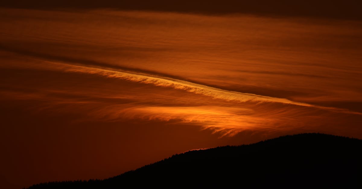 Choosing the Right Residential Junk Removal Service in Melbourne