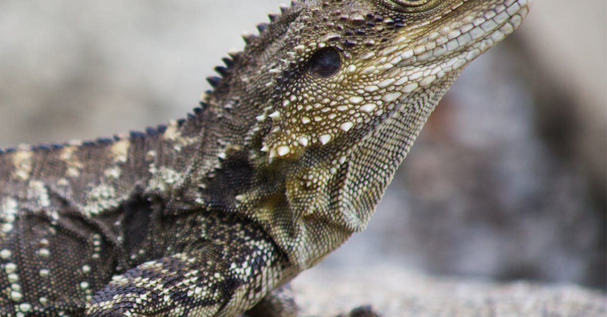 Customer Insights on Best Junk Removal Practices