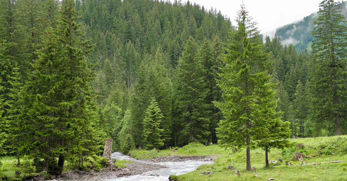 How to Safely Dispose of Old Electronics in Your Home