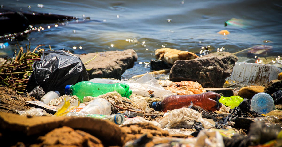 Recommendations from Melbourne Residents on Junk Removal