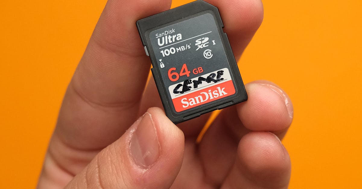 Strategies for Efficient Warehouse Junk Management