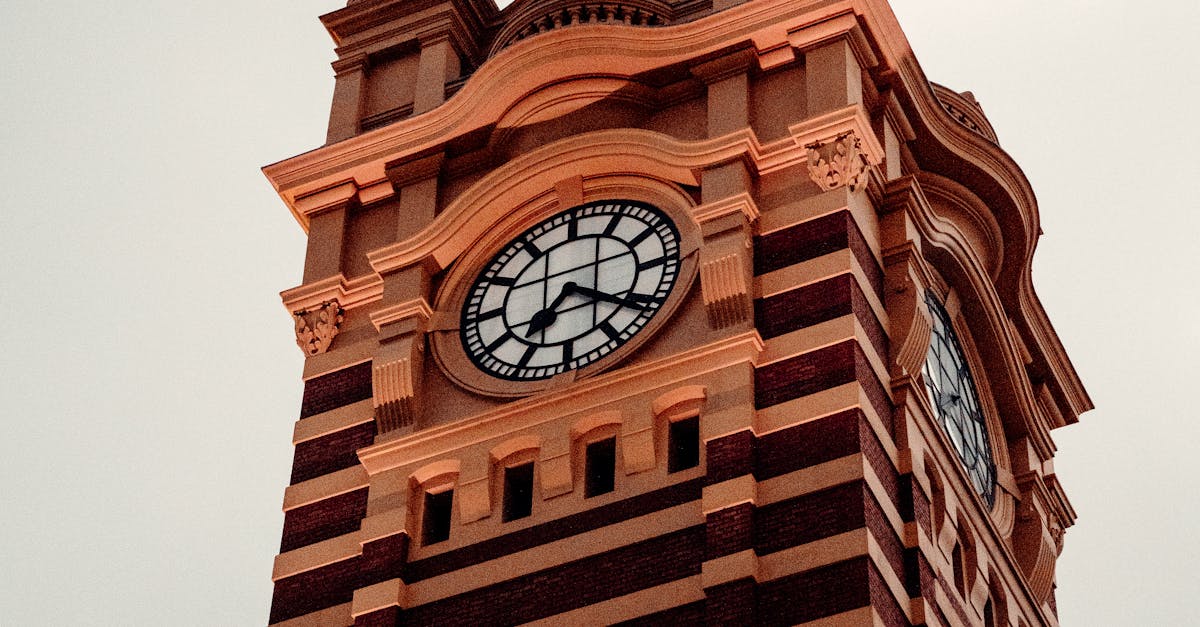 Top-Rated Services in Melbourne’s Junk Removal Scene